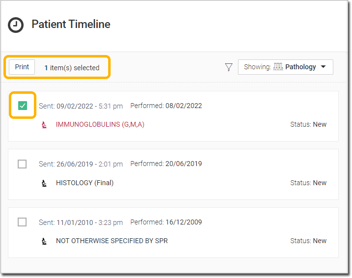 Patient Timeline Showing Items Selected to Print